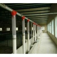 广东养猪设备制造企业/泊头开元畜牧厂家直营现代化猪场料线