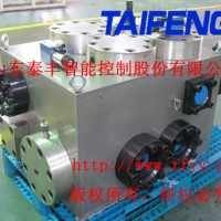 泰丰液压厂家设计生产龙门剪二通插装阀