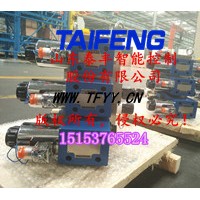 泰丰生产插装阀YN32-500HXCV-00双泵