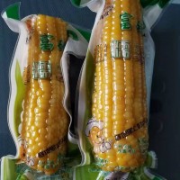 抽真空玉米包装袋彩印真空食品袋生产厂家尼龙袋