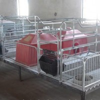 福建猪用保育床生产厂家~沧州万晟畜牧设备订制猪仔保育床