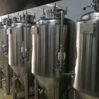 辽阳市康之兴啤酒机械设备鲜酿啤酒设备品质为本物超所值厂家直供