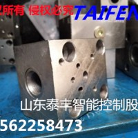 济宁泰丰厂家直销TLFA063WEA-7X 电磁阀安装面盖板