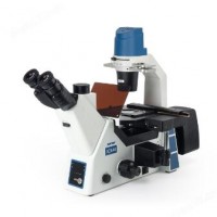 CLSM600国产激光共聚焦显微镜