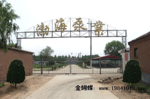 沧州泊头市渤海油泵生产厂新奇骏油泵坏了物美价廉